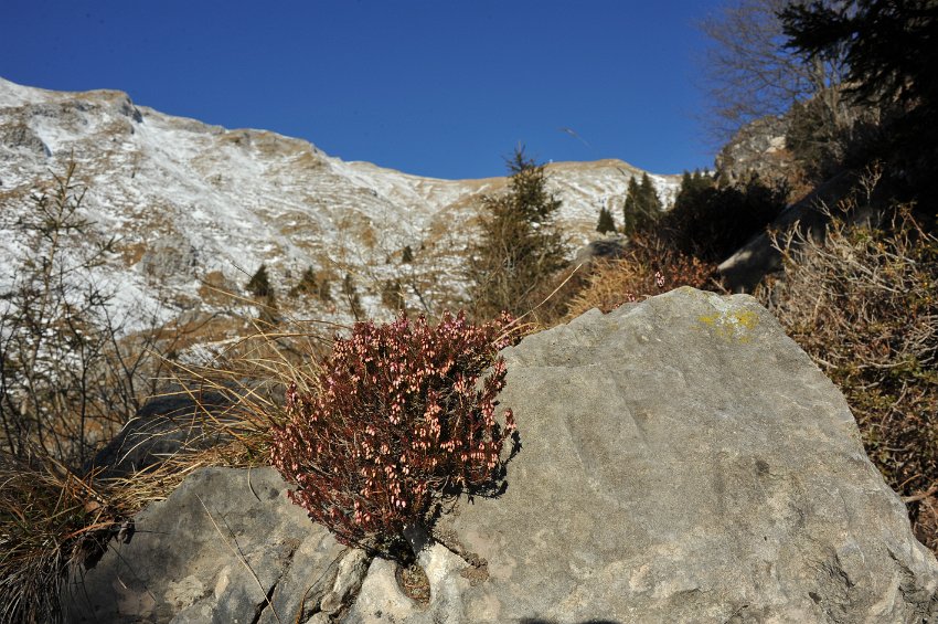 36 - Zorzone - Cima Menna.JPG